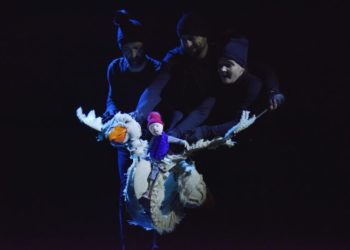 Nils, le merveilleux voyage