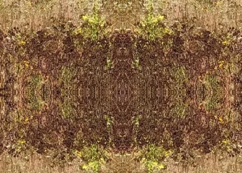 VOYAGE AU PAYS DE L’INSÉPARÉ