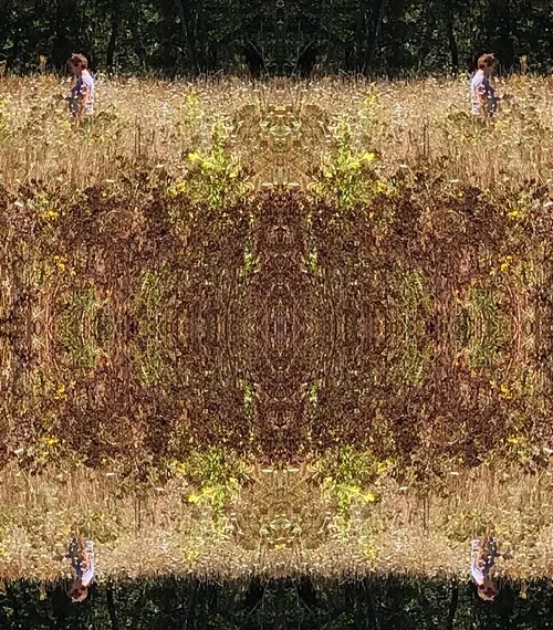 VOYAGE AU PAYS DE L&rsquo;INSÉPARÉ