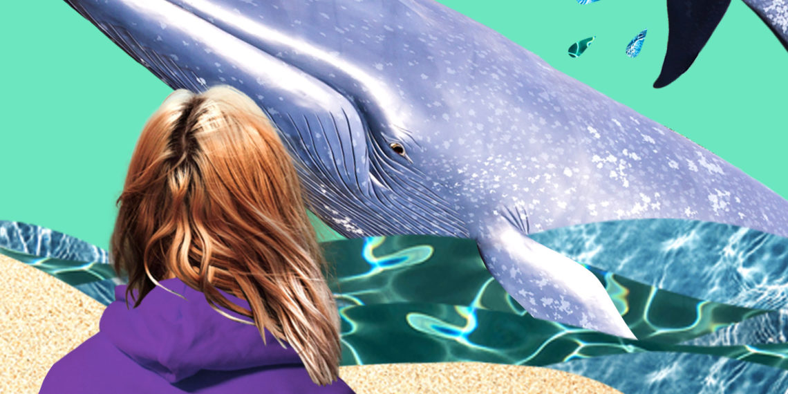 Und morgen streiken die Wale