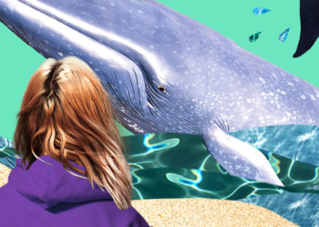 Und morgen streiken die Wale