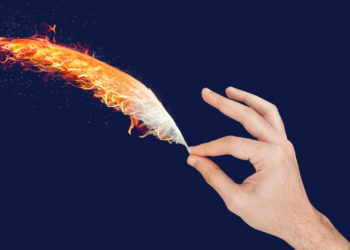 Der Feuervogel