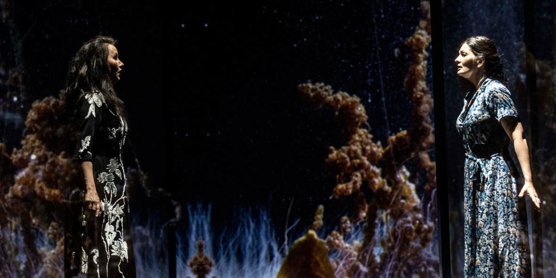 Picture a day like this