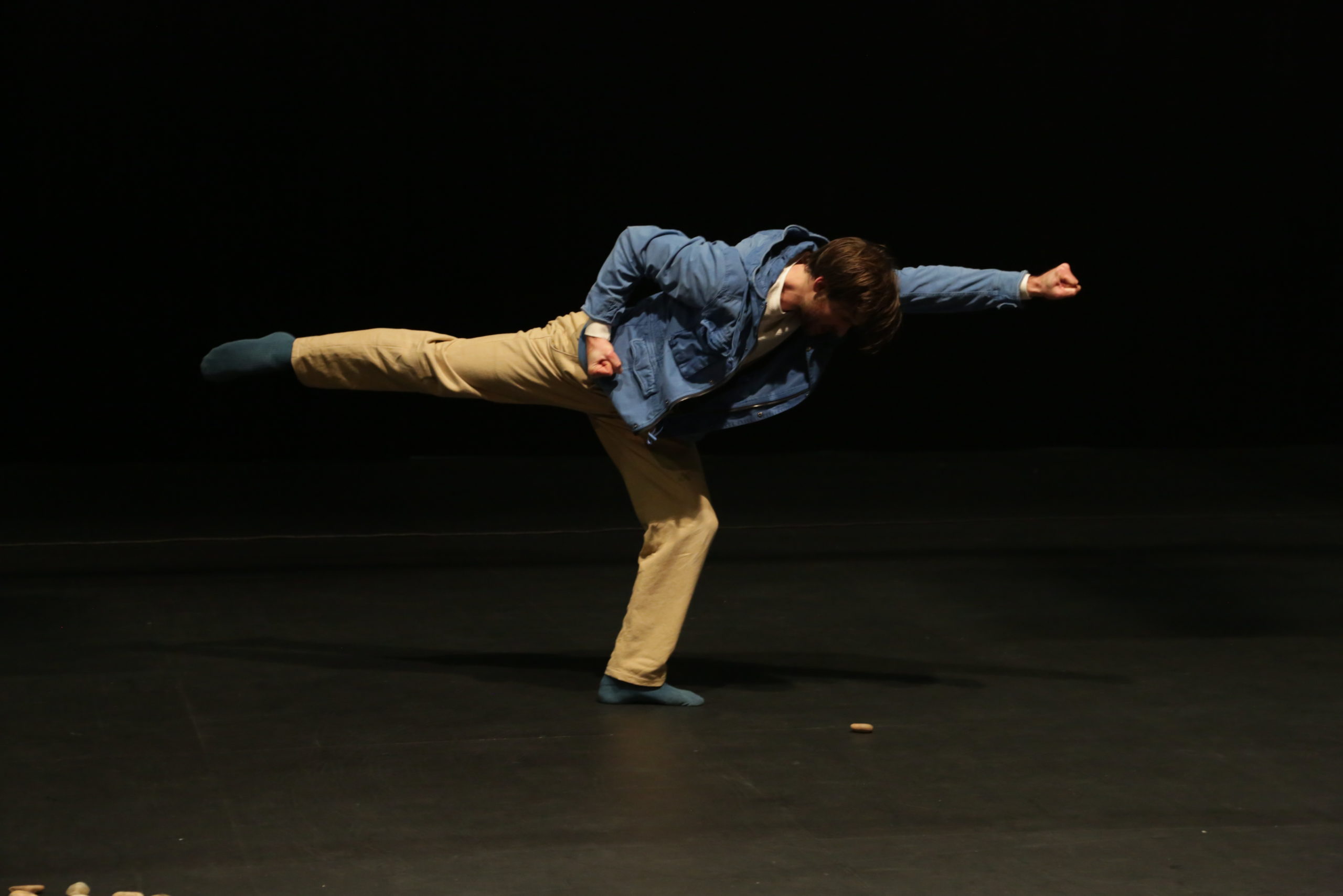 La Quinzaine de la Danse