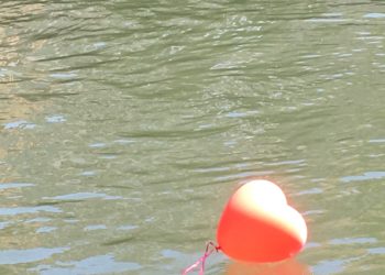 Au bonheur des Vieux