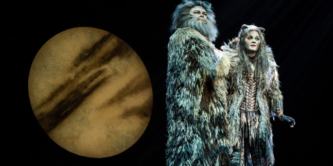 Anmut auf vier Pfoten: Der Publikumsliebling CATS kommt zurück ins Theater 11 Zürich
