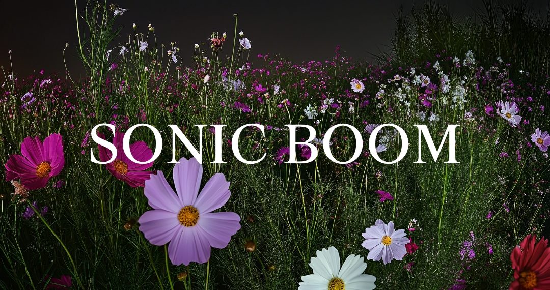 Gare du Nord: Open Call  Sonic Boom – «I’m all ears»