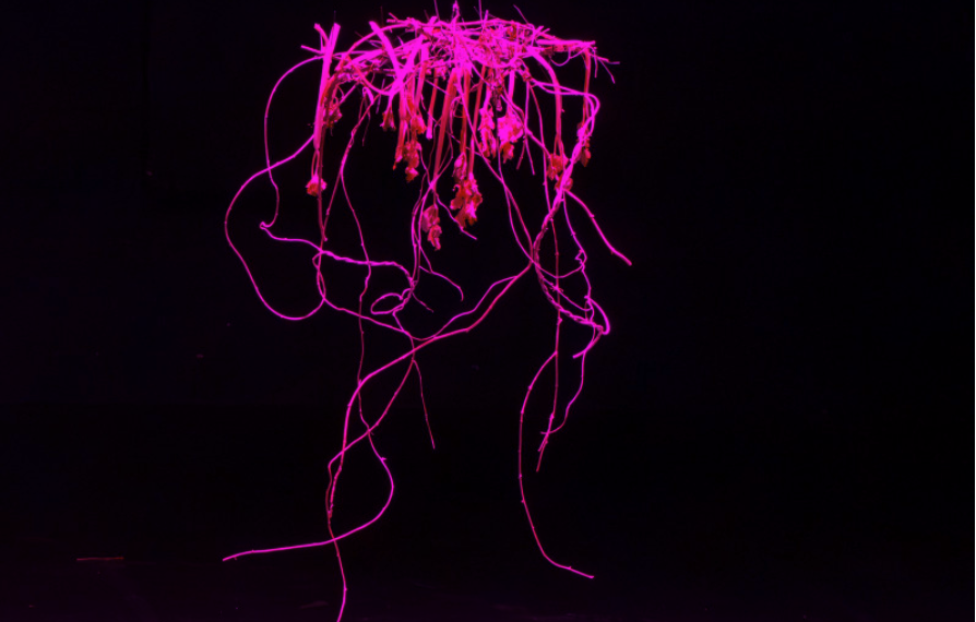 Épique! (für Yikakou)