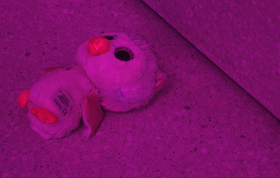 Revue. Über das Sterben der Arten