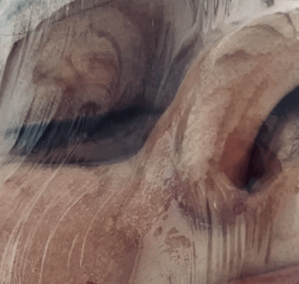 LES IDOLES REFACE – SÉRIE #3