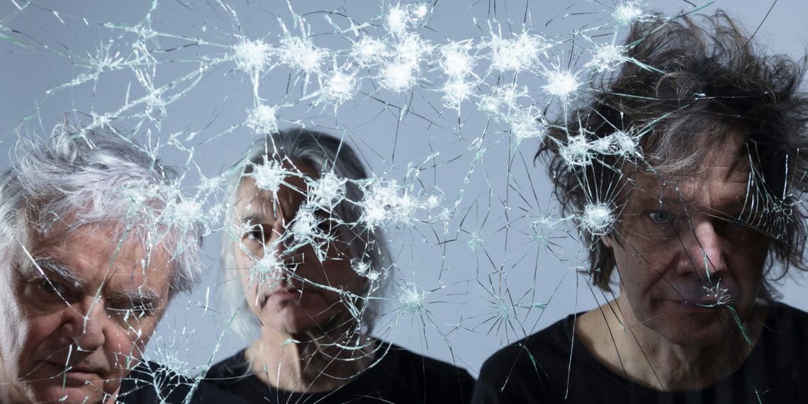 THE YOUNG GODS & SIERRA VEINS