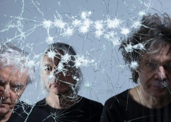 THE YOUNG GODS & SIERRA VEINS