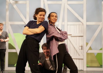 Der gestiefelte Kater