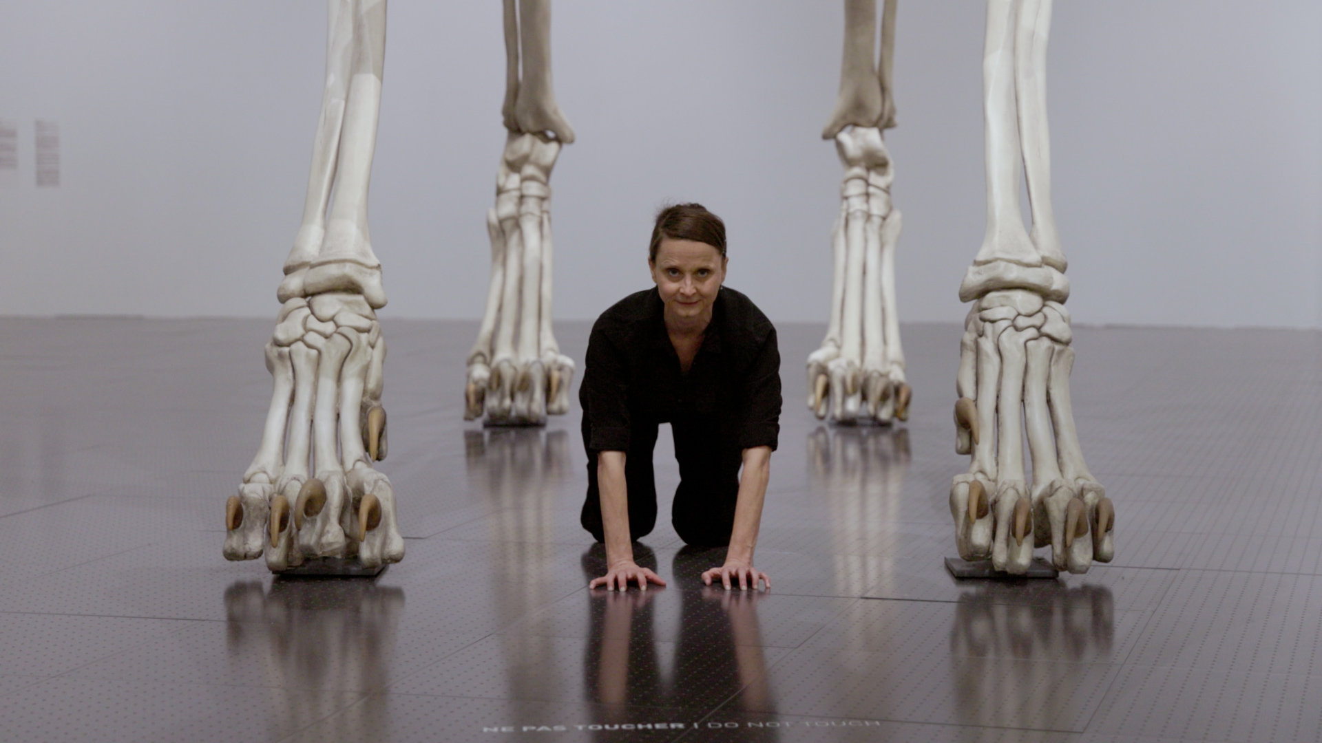 Visite dansée au Centre Pompidou-Metz