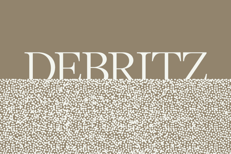Debritz
