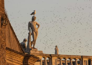 © Adriano Pucciarelli