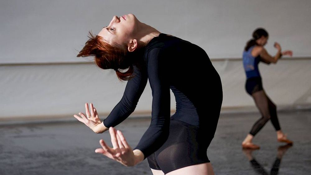 Emergence & Speak for Yourself