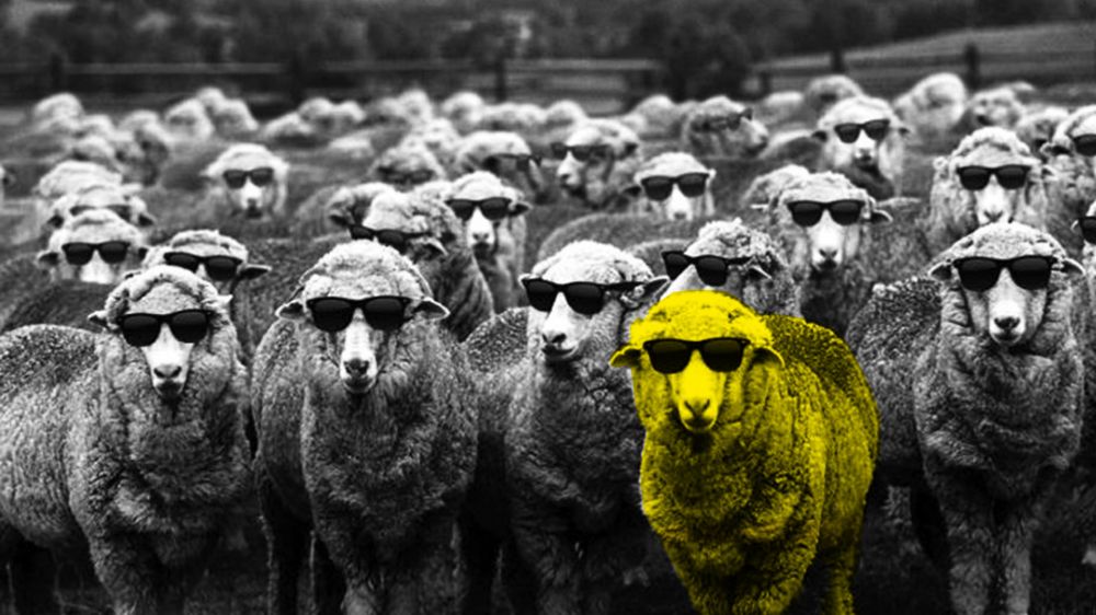 Où suis-je ? Qu’ai-je fait ?