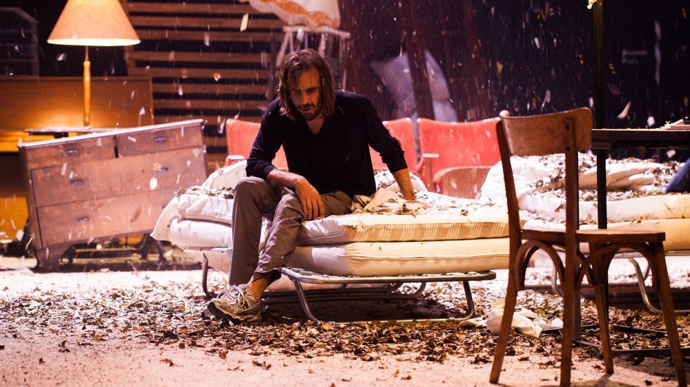 Les palmiers sauvages