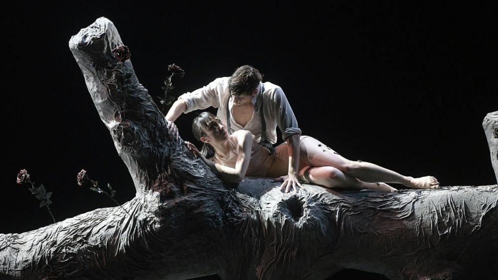 La Belle au bois dormant