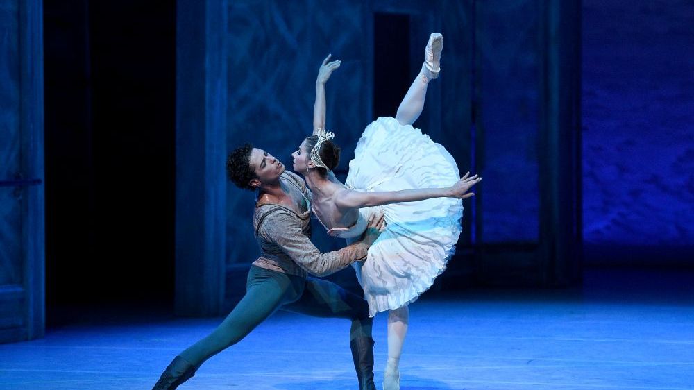 szenik, Schwanensee, Karlsruhe, danse, Tanz, ballet,