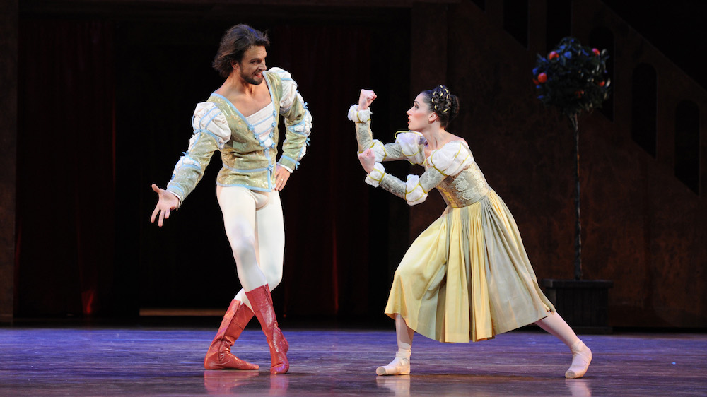 Der Widerspenstigen Zähmung