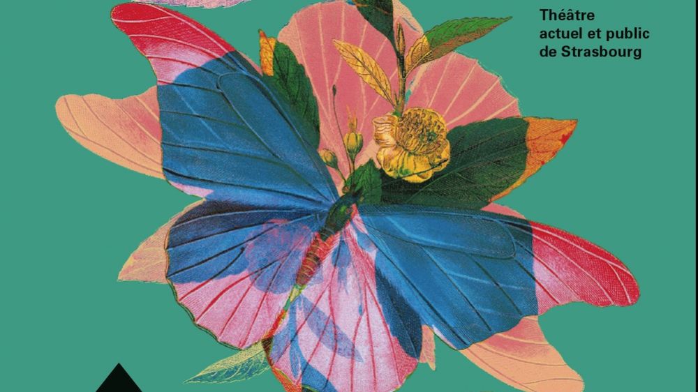 Été cour été jardin