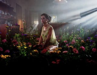 Scènes d’automne en Alsace