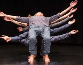 Islands | Guilherme Botelho