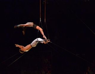 Ningunapalabra (Cirque)