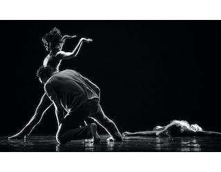 Wachter-Winkler-Scafati, Balé Teatro Guaira