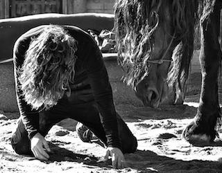 Ma bête noire von Thomas Chaussebourg