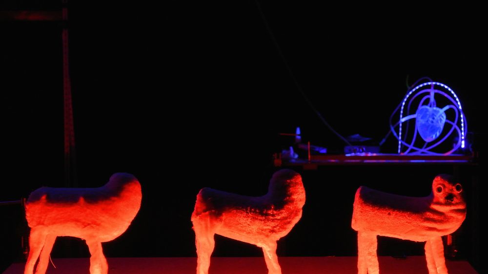 The Assembly of Animals