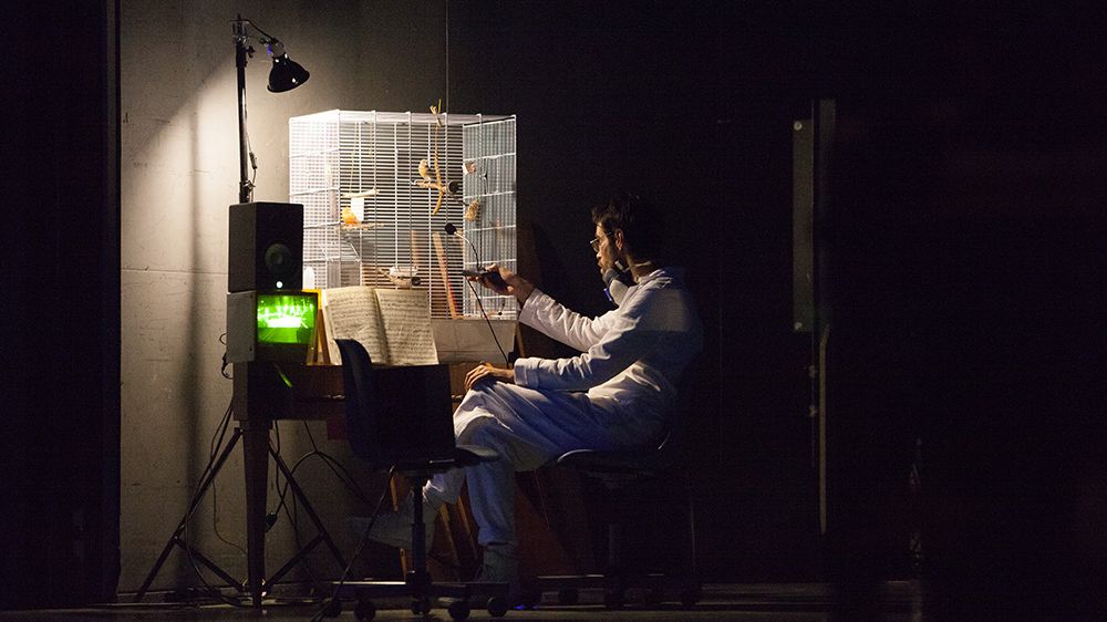 LSD – Mein Sorgenkind