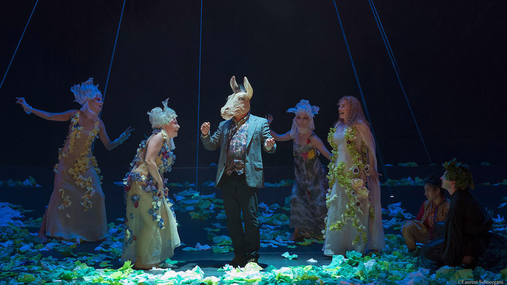 Ein Sommernachtstraum